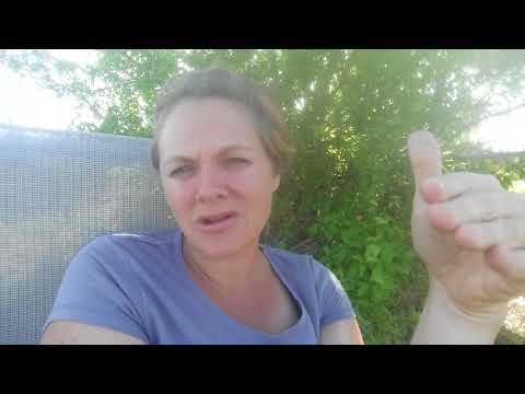 homeschool-encouragement---how-to-teach-your-adhd-kindergartner-to-read.