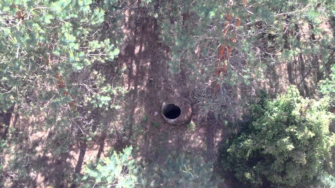 лодейное поле фото смотреть