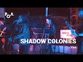 Shadow Colonies - You (PoA Live Sessions)