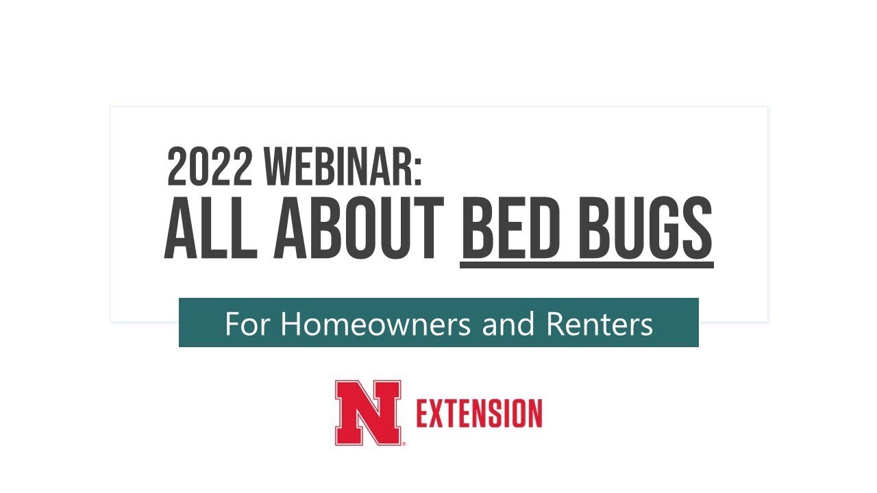 Bed Bug 2022 Webinar for Homeowners & Renters