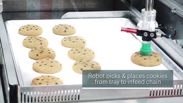 Flow wrapper packaging with FANUC robotic integration