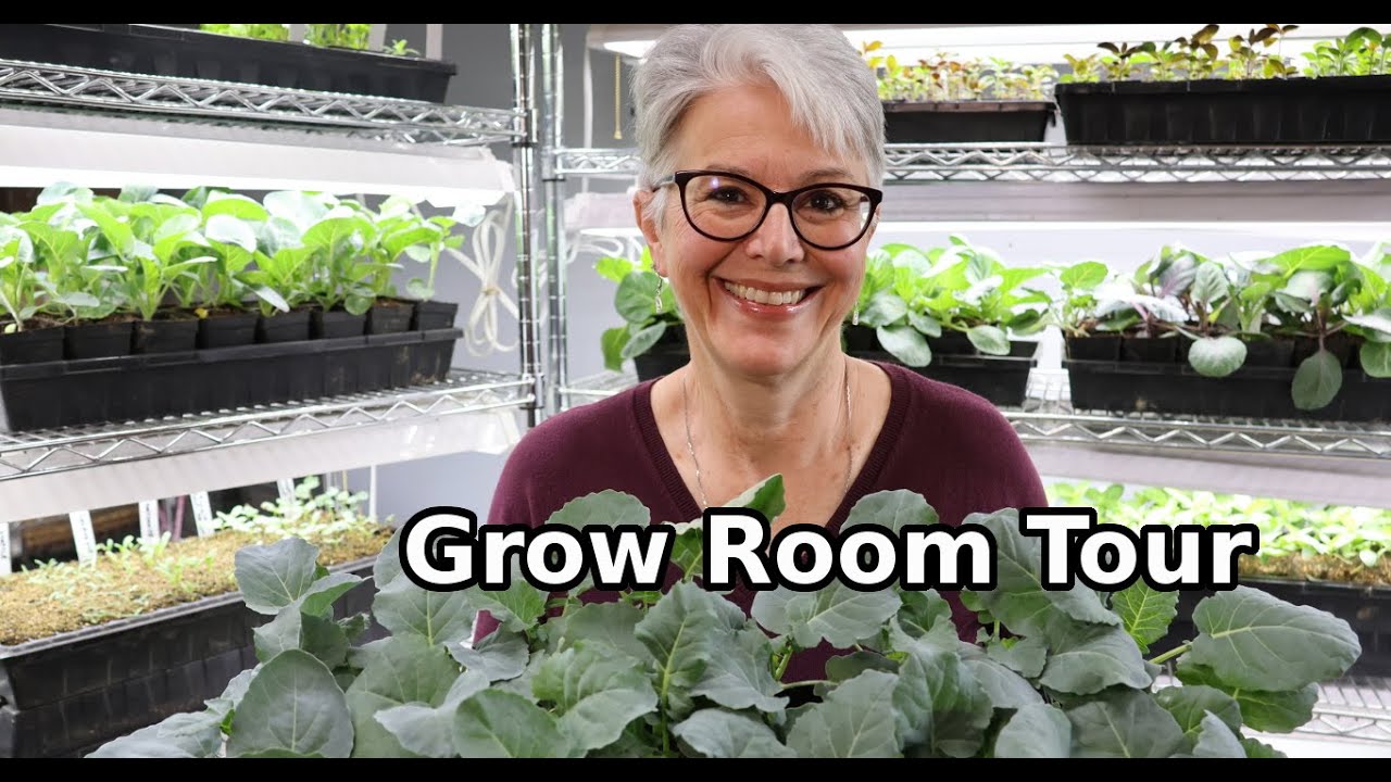 Early Spring Grow Room Tour and Planting Out Brassicas