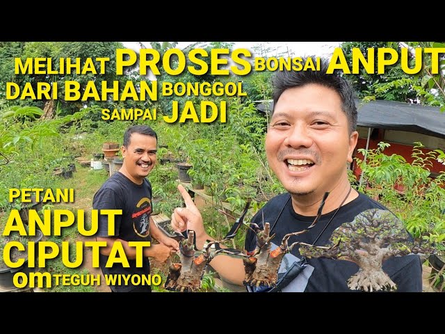 VIDEO 55 || TAHAPAN BONSAI ANTING PUTRI DARI BAHAN SAMPAI JADI class=
