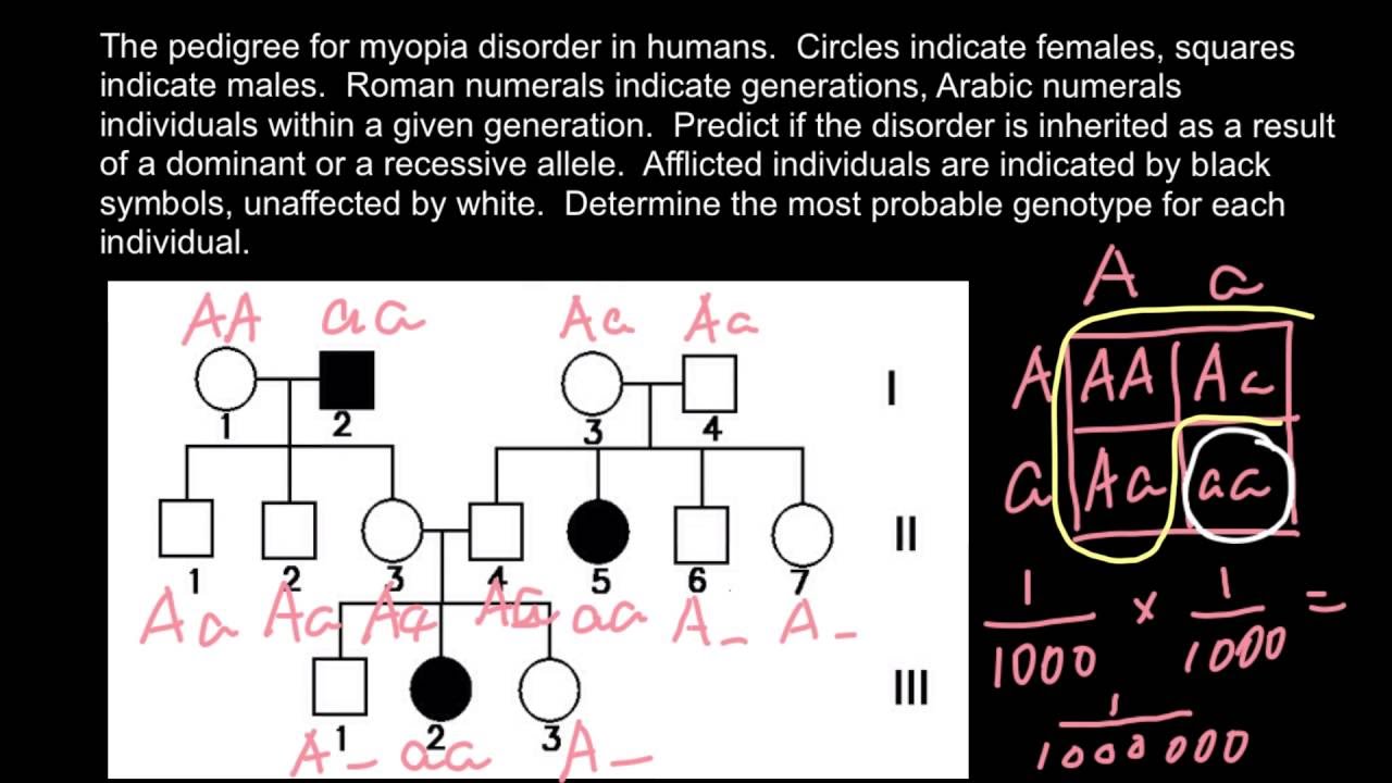 example-of-solution-of-the-simple-pedigree-problem-youtube