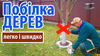 Побілка дерев ЛЕГКО і ШВИДКО! (осінь 2023)