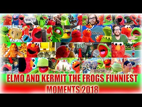 elmo-and-kermit-the-frog's-funniest-moments-2018!