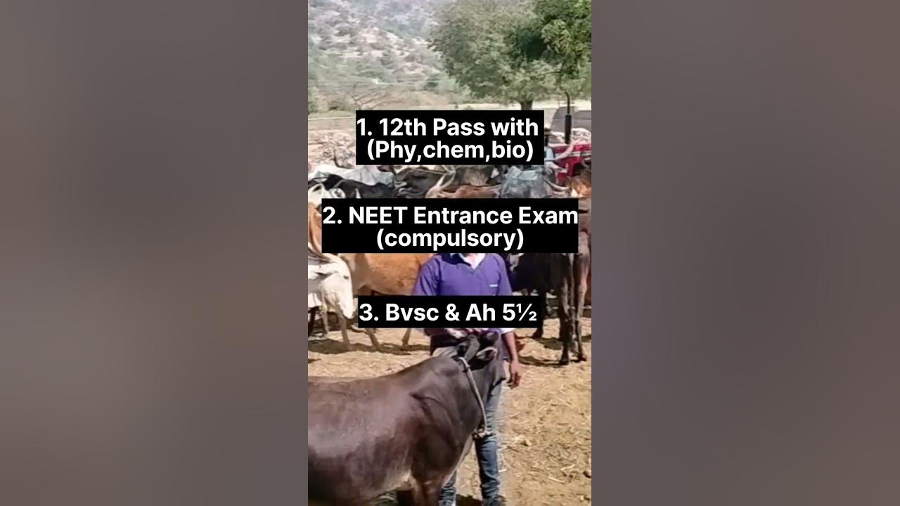 How to a veterinary doctor veterinary doctor kaise bane 