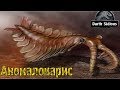 Развитие жизни на Земле (The Evolution of Life) - Аномалокарис (Anomalocaris)