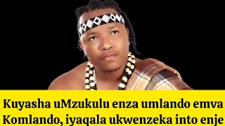 ‼️Akukholakali ngempela imilando eyenziwa i Album ka Mzukulu ‼️