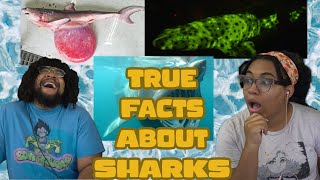 True Facts: The Curious Adaptations Of Sharks | ZeFrank Reaction ft. Chavezz