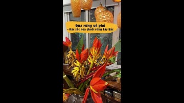 Cắm hoa chuối rừng| LanVu Gallery