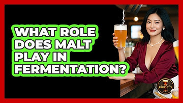 What Role Does Malt Play In Fermentation?