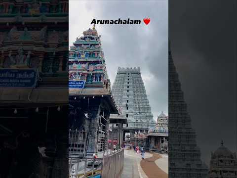 "Om Namah Shivaya"  | @saarvaricollections #arunachalam #tiruvannamalai #temple #blessed #grace
