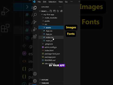 React JS Folder