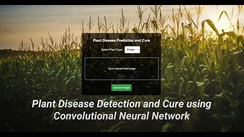 Plant Disease Classification with CNN