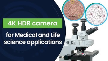 4K HDR camera for Medical and Life science applications | e-con Systems