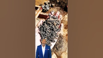 #fcnfm The Role of Stone Crushers in Enhancing Project Timelines