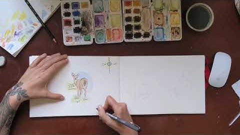 TLC Nature Journaling Part 3 Exercises