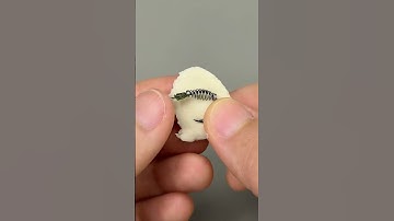 Cách làm lưỡi câu cá mè! #fishing #marisfishing