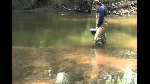 Dissolved Oxygen Monitoring
