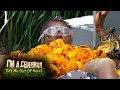 Gore Seasons Pizza Is History in the Baking for Fleur | I'm a Celebrity... Get Me Out of Here!