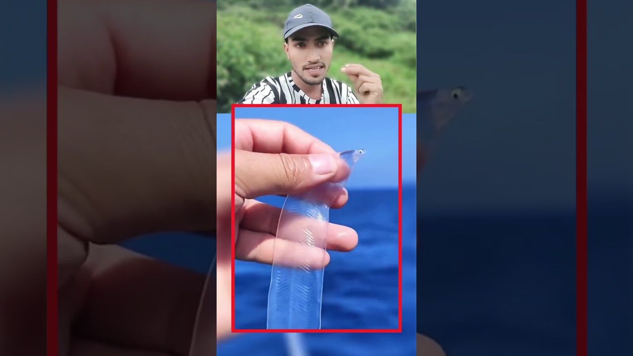 Allah ki Kudrat ko dekho #allah #shortsfeed #shorts