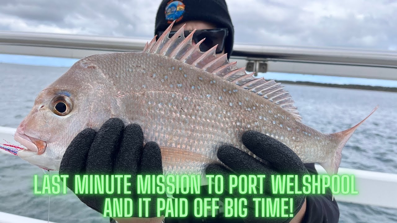 LAST MINUTE MISSION PORT WELSHPOOL