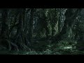 The Lord of the Rings: The Forest of Fangorn - Ambience & Music