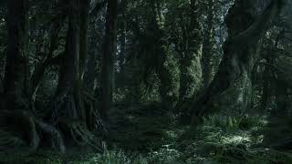 The Lord of the Rings: The Forest of Fangorn Ambience & Music