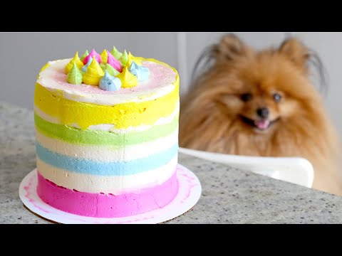 (the-best!!)-rainbow-dog-birthday-cake-recipe