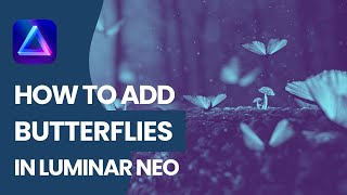 Luminar NEO: How to add BUTTERFLIES (Overlays) 🦋 to your photos screenshot 5