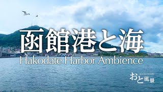 【環境音】函館港と砂浜の音風景 1時間 - 勉強用、睡眠用、作業用、ASMR