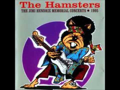 The Hamsters - Love Or Confusion (Jimi Hendrix cover)