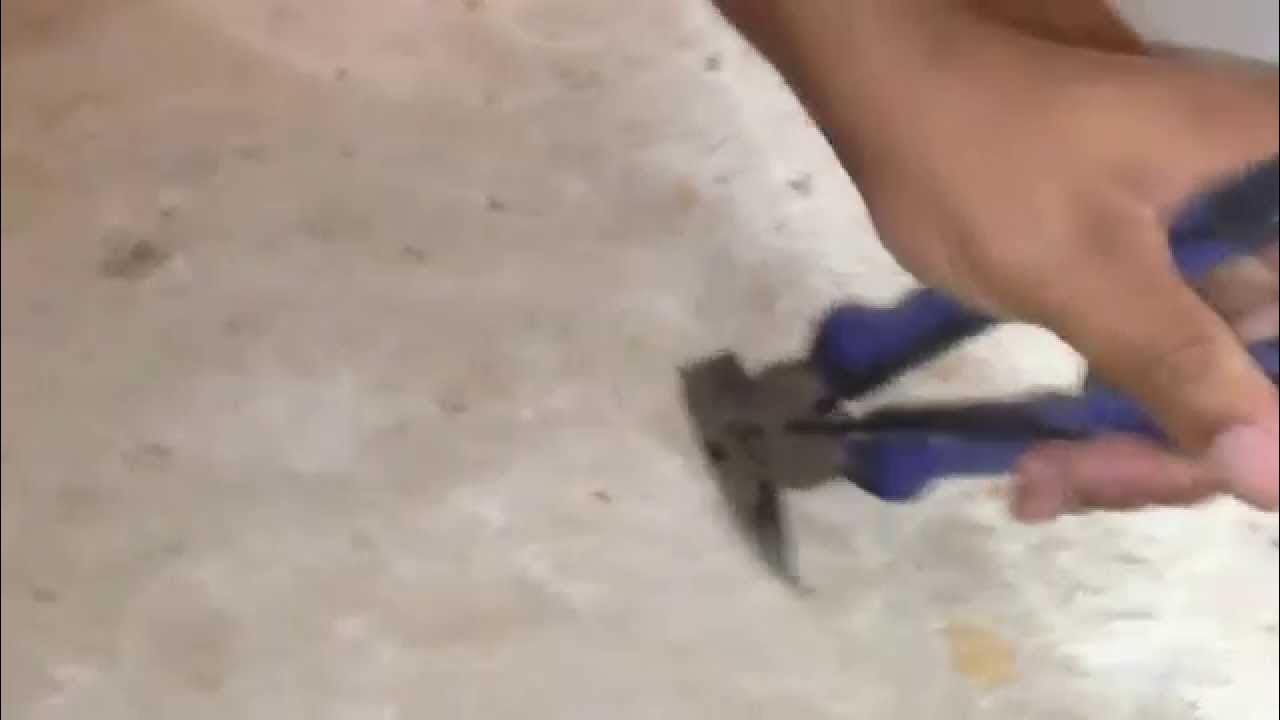 Best way to remove staples from subfloor YouTube