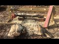 Logs to Lumber - Small Scale Alaskan Milling for the Average Homestead