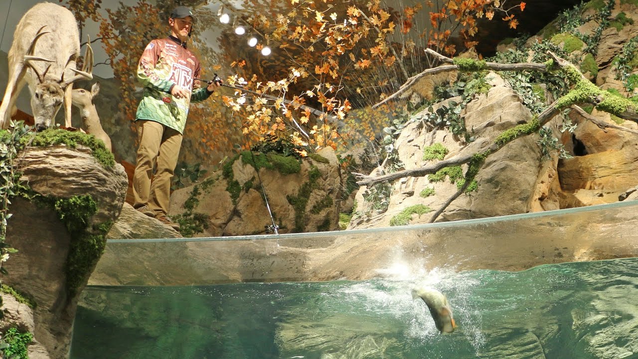 How to Make Money in Fishing & Hunting 