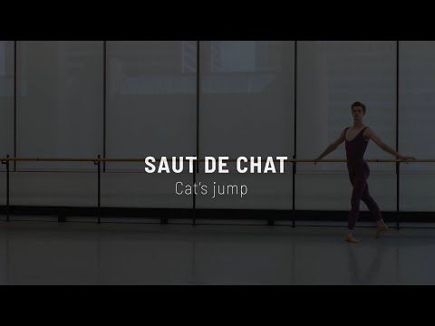 Ballet West Glossary | Saut de Chat