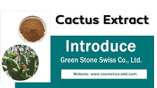 Herbal Pure Hoodia Cactus Powder Extract Manufacturer and Sales
