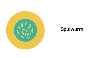 Wie diagnostiziert man Spulwürmer?
