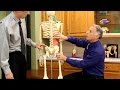 Quadratus Lumborum Stretch & Pain Relief (A Muscle in your Back)