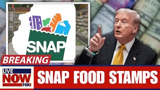 1 Min Ago: FOOD STAMP UPDATE TODAY - December 2025: The Maximum Amount You Can Receive in December