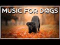 Calming Music For Dogs - Deep Separation Anxiety Music For Dog Relaxation!