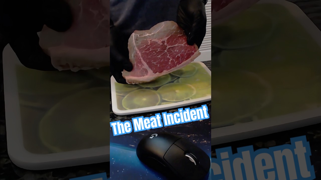 This meat’s still good to eat, right? Right..? #vtuber #cassionvt #cookingstream #facereveal #scuff