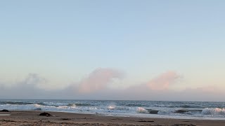 Daily Devotions For July 29, 2026.