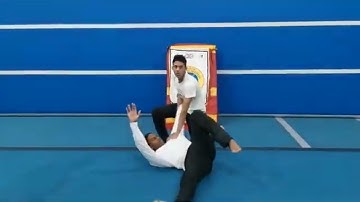 Kung Fu Break Down Of The Flow Vid 13 Mantis Kung Fu Sifu Bryan