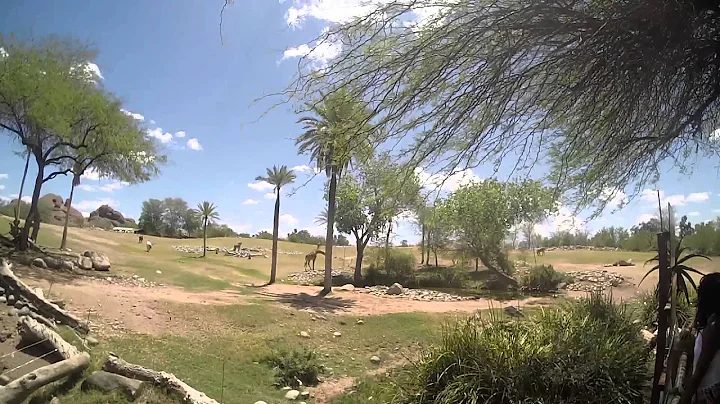 phoenix zoo