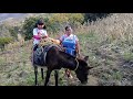 Asi se prepara un delicioso caldo de Mostaza para la comida