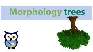 Morphology trees