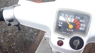 スズキ 薔薇 バラ CA13A - YouTube