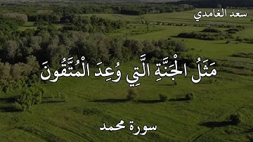 سعد الغامدي سورة محمد  مَثَلُ الْجَنَّةِ الَّتِي وُعِدَ الْمُتَّقُونَ ۖ فِيهَا أَنْهَارٌ مِنْ مَاءٍ.